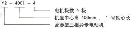 YR系列(H355-1000)高压YKS4005-6/315KW三相异步电机西安西玛电机型号说明